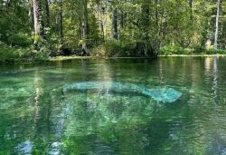 Семейный кемпинг на природе с палатками (Прошедшие)