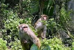 Семейный кемпинг на природе с палатками (Прошедшие)